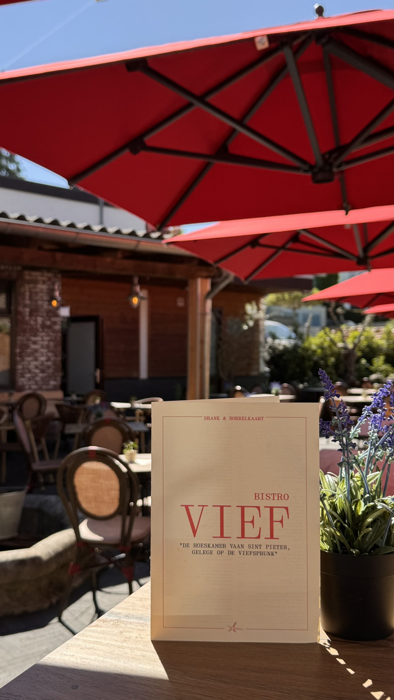 Bistro Vief